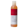 Fruitzyme Cleanser | Advanced Rejuvenating Concepts Online Sale