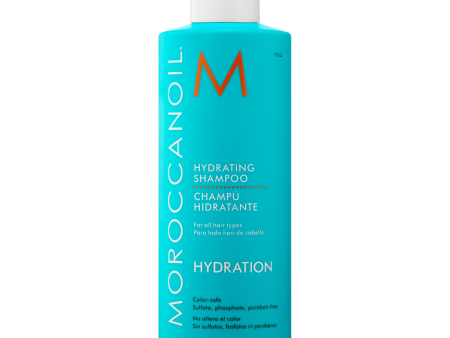 Hydrating Shampoo | Moroccanoil Sale