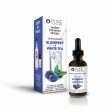 Super Fruit Extracts Water Infusion Drops - Blueberry + White Tea | Pure Inventions Supply